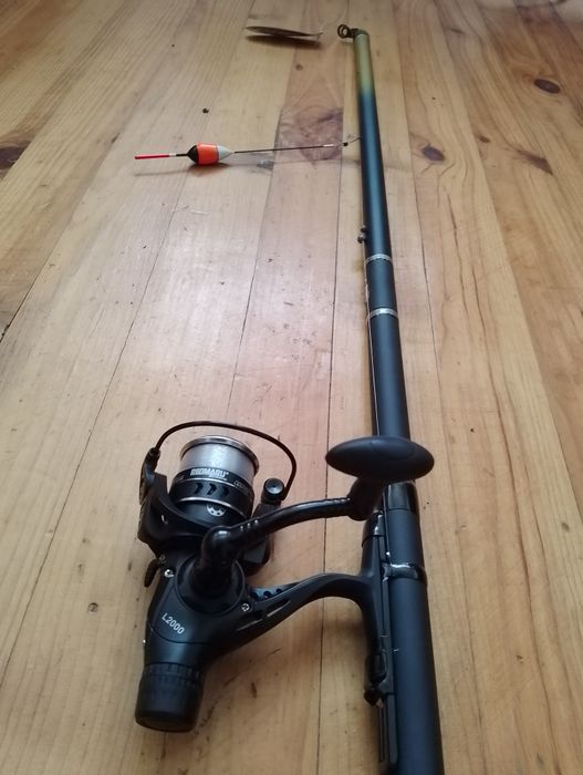 Продавам Болонезе 5.00м.