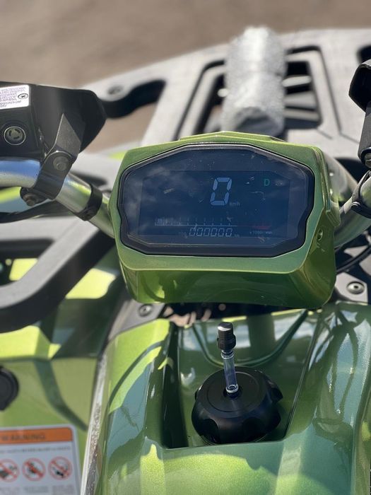 Квадроцикл Hornet 300 Cruise