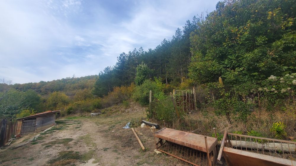 Продава се Къща в с. Янково, Област Шумен - 1500 кв.м за 11 €/кв.м - Снимка #8