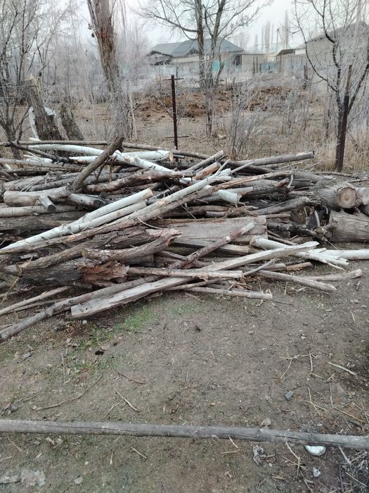 Дрова отдам дара. Самовывоз