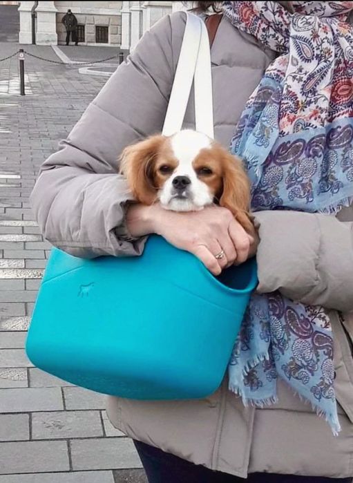 Geanta transport caine