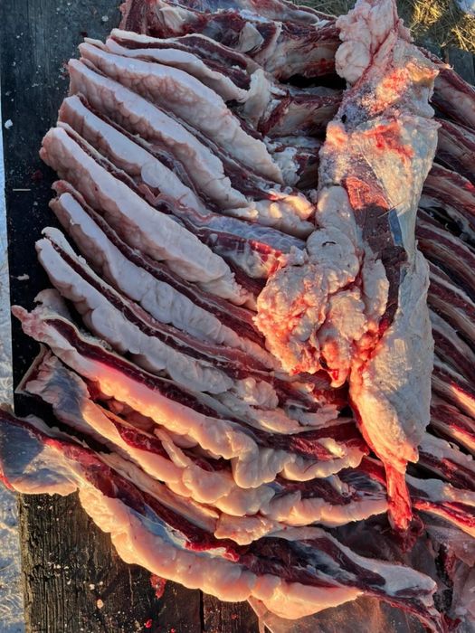 Продам байтал бір сирақ