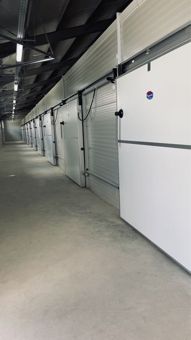 Inchiriez hale frigo