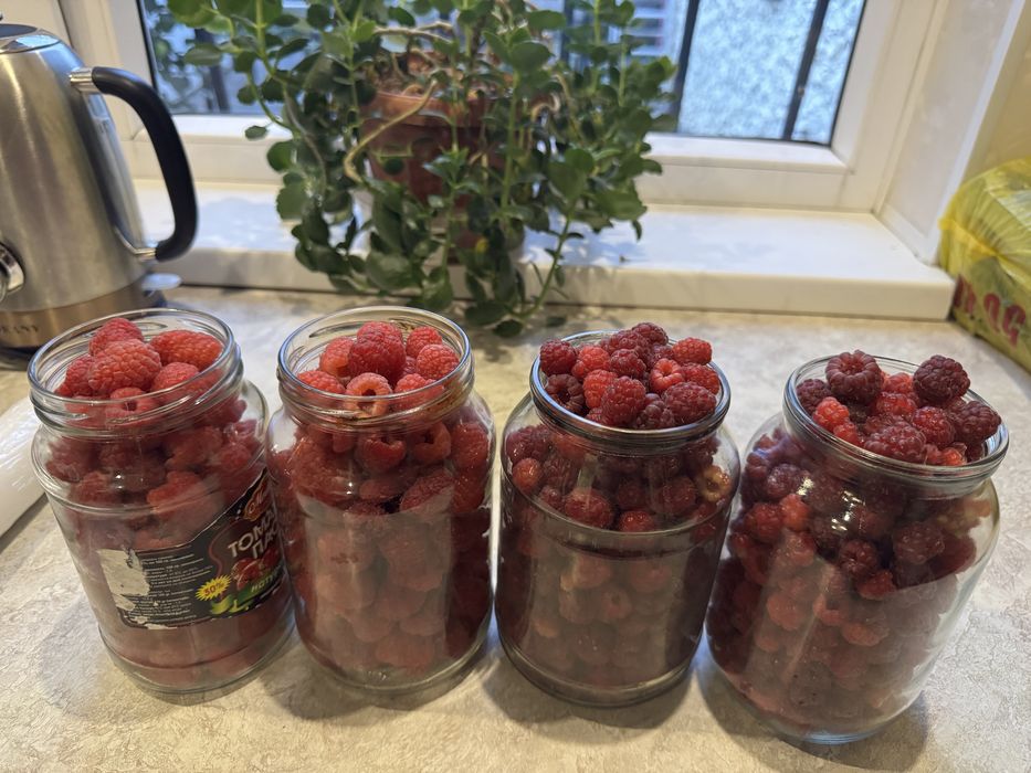 Продам малину (свежая)