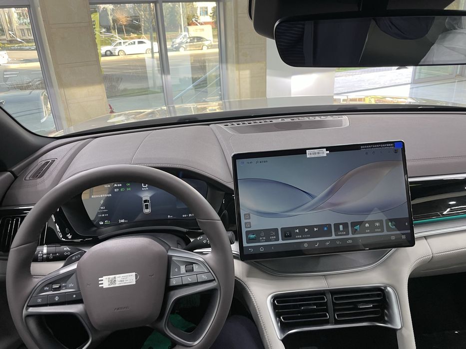 BYD chempion smart /ev