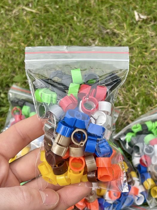 Пръстени за гълъби щипка