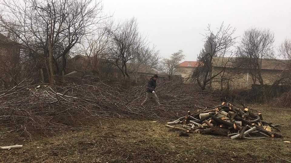 Почистване на дворове и запустели терени в София – бързо и изгодно