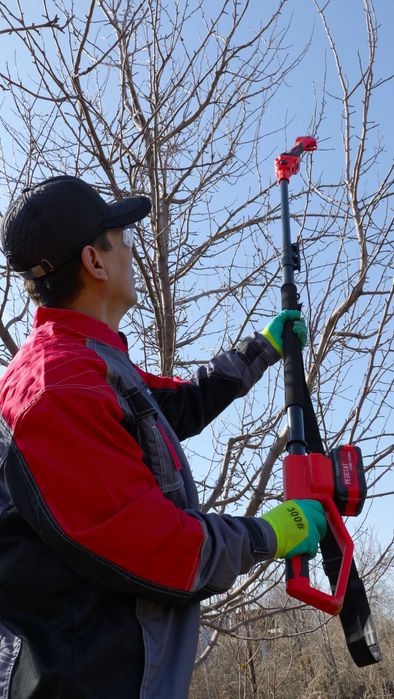 обрезка плодовых деревьев