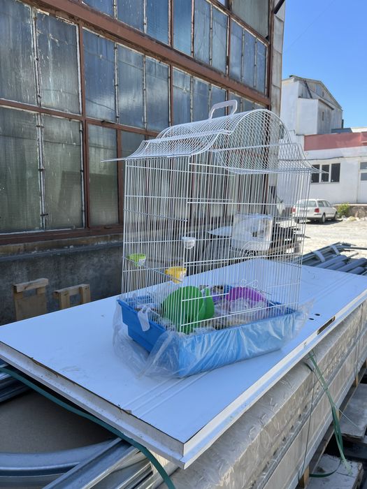 Colibie pentru papagali