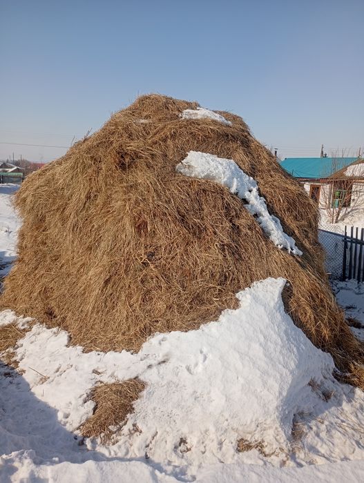 Продам сено 2 телеги