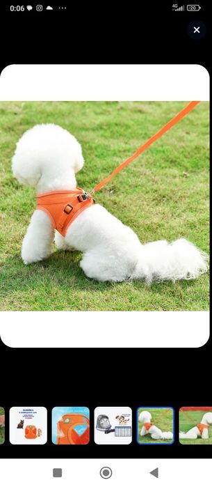 Продам шлейку для кошек(собак)