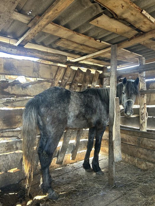 Продаётся байтал