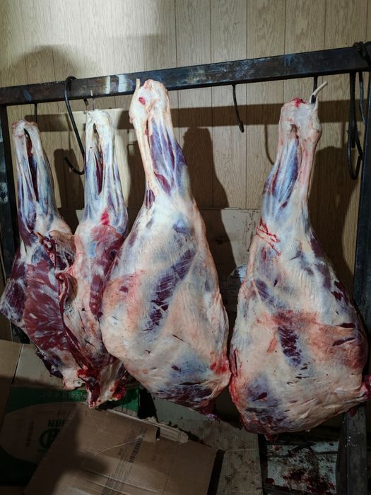 Семіз байтал еті сатылады