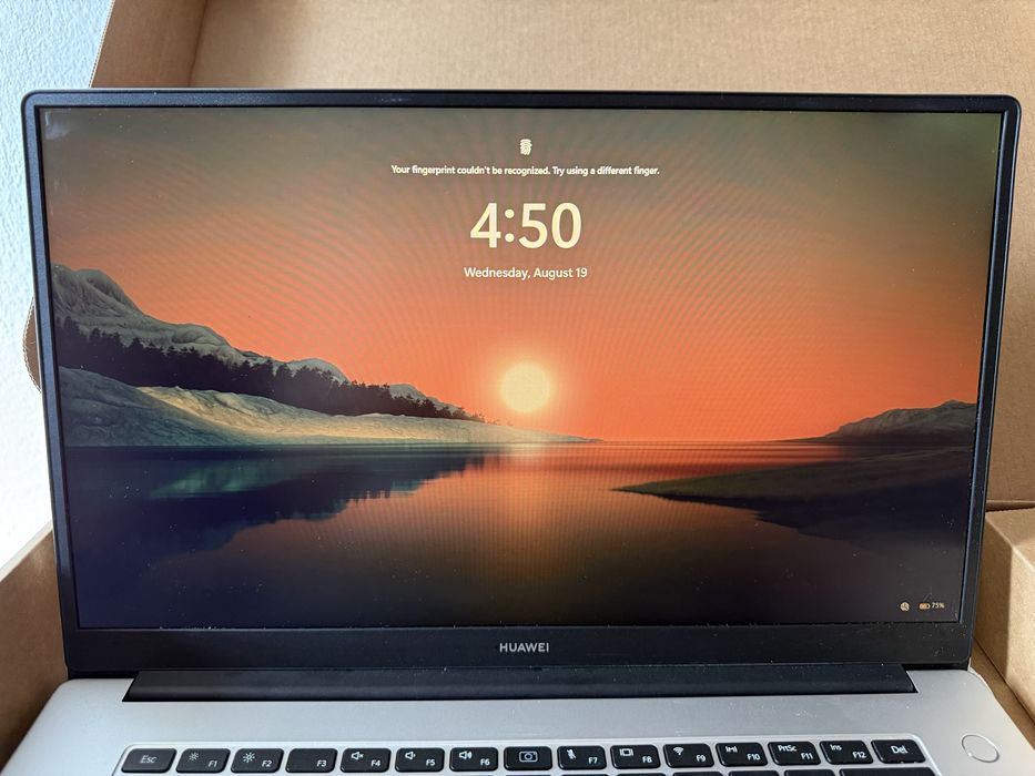 Huawei Mate Book D15