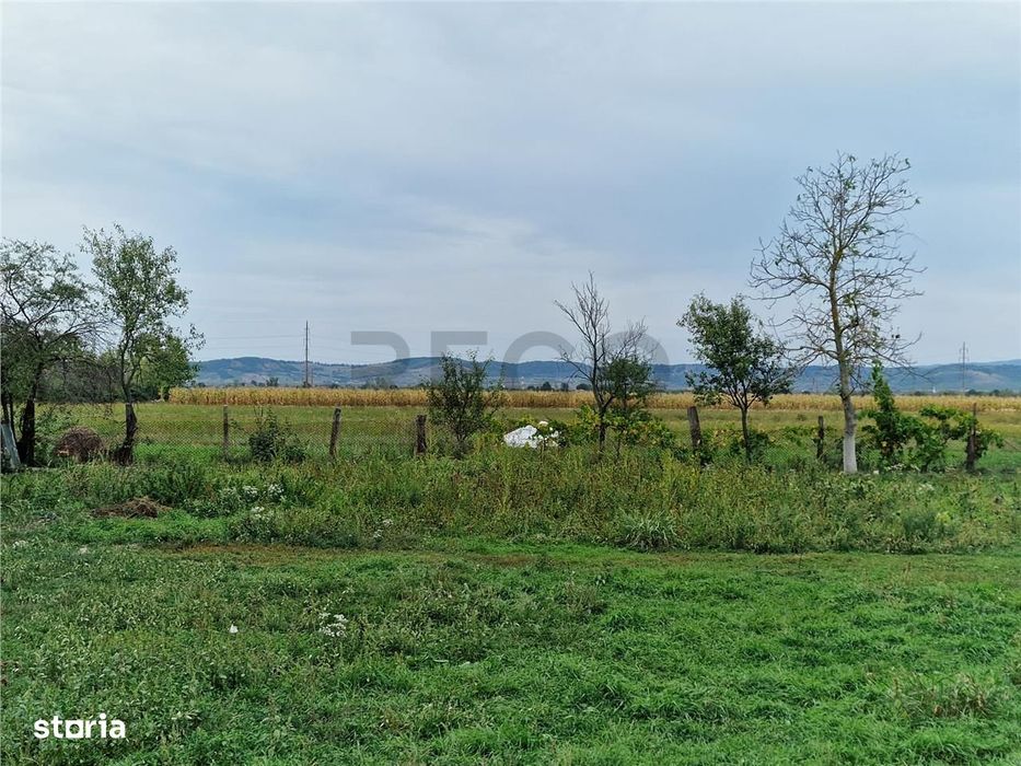 RECO teren  intravilan Tilecus