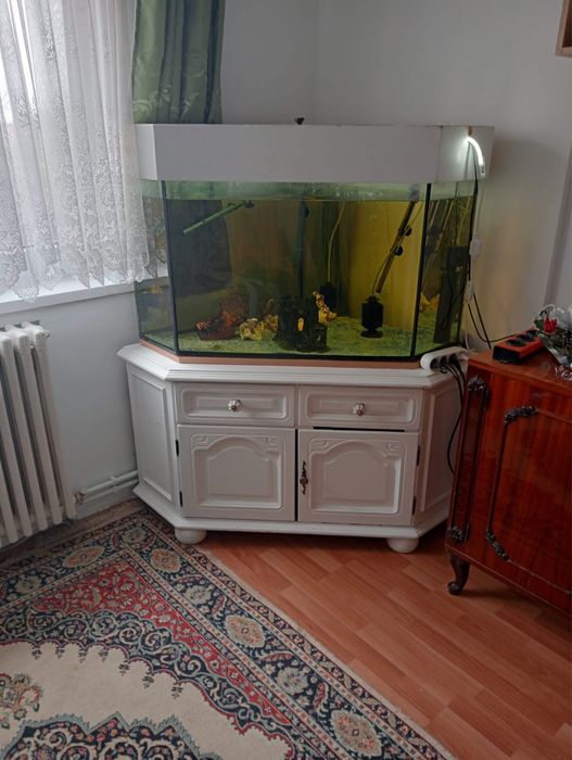 Vand Acvariu pe colt