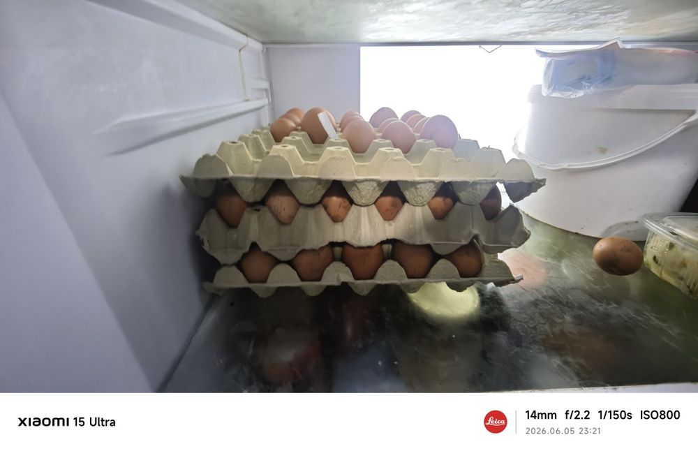 Домашни яйца от Ярки кокошки