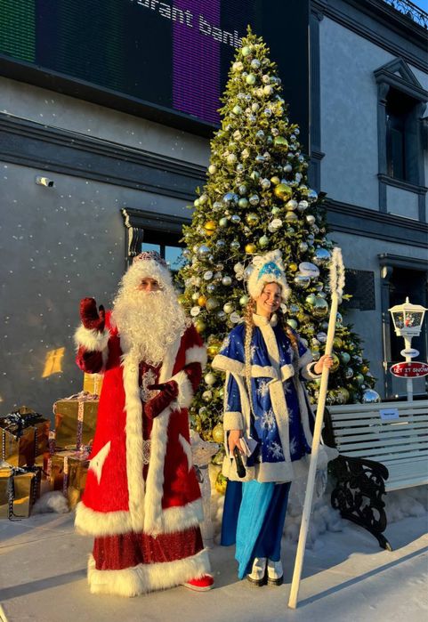 Дед мороз На 31 декобря, на дом