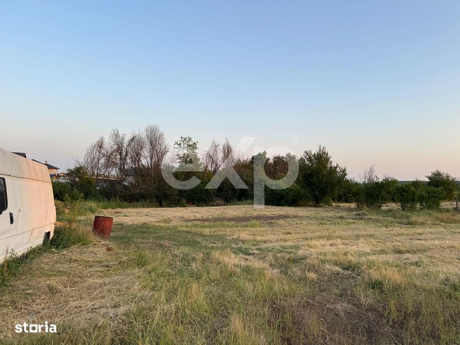 Teren 1650 mp intravilan Trivale - Olteni – cadru natural langa Padu