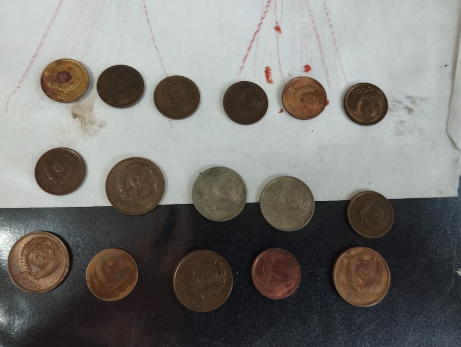Монеты СССР копейки