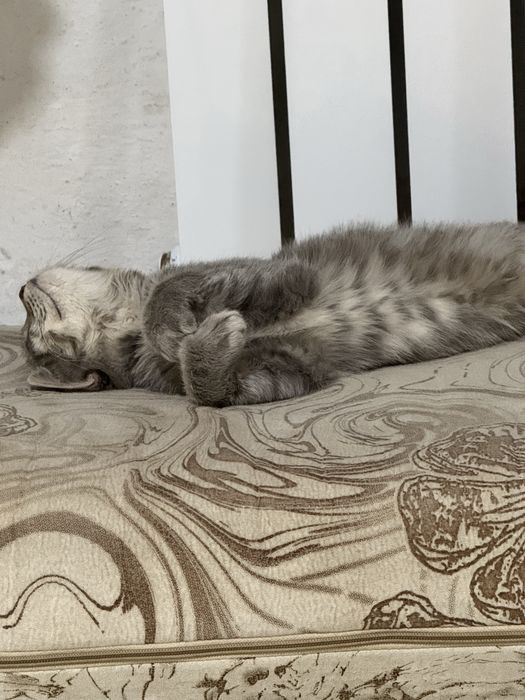 Доброе руки ул мысык