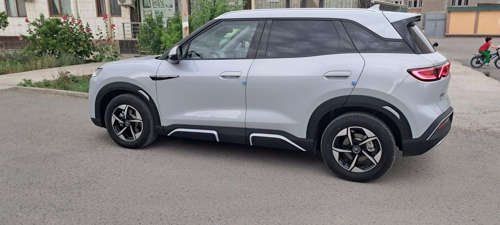 Bvd yuan ap Ev 2024