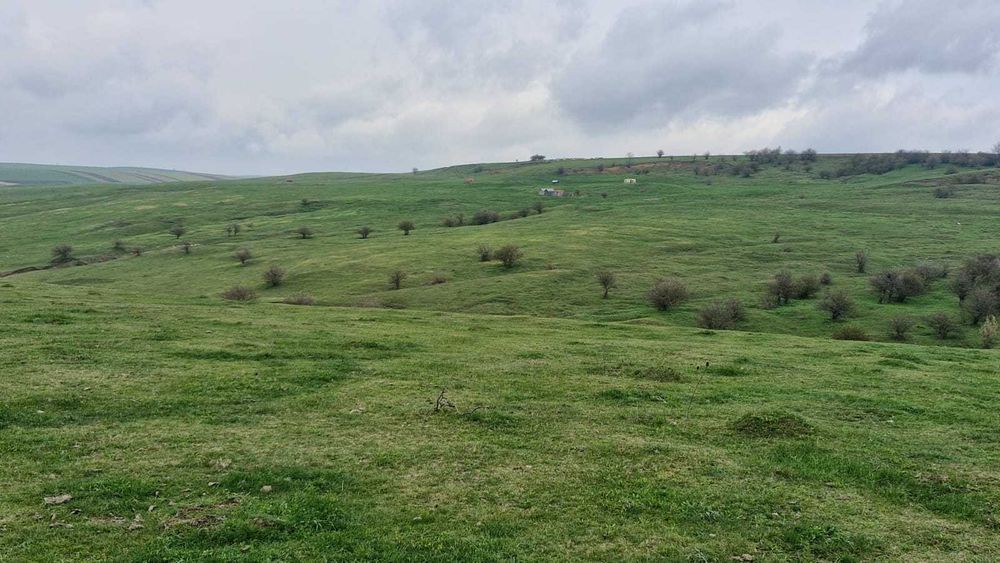 Teren Extravilan- Pășune