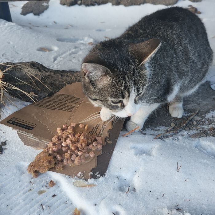 Срочно ищем дом мальчику подростку