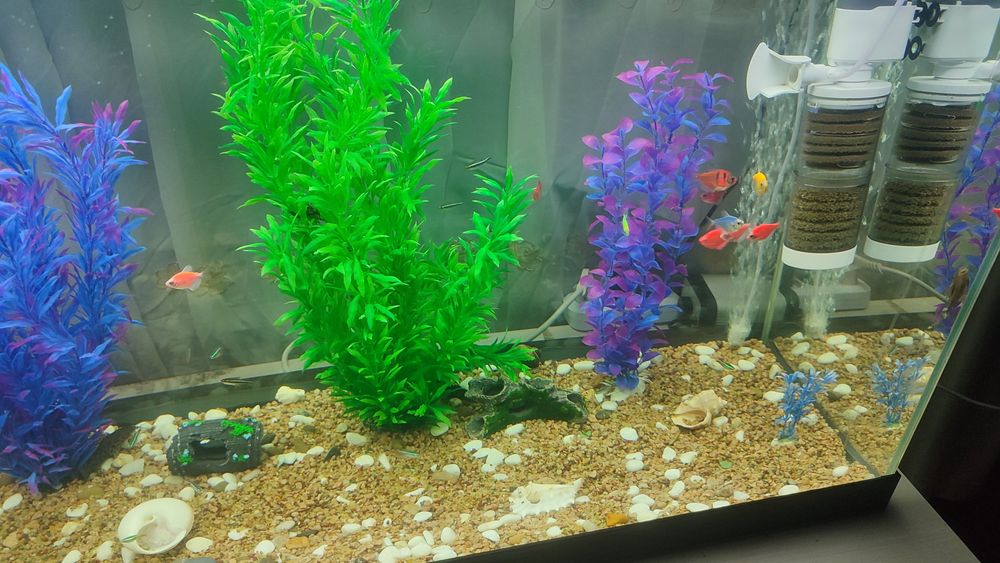 Продам большой аквариум с рыбками