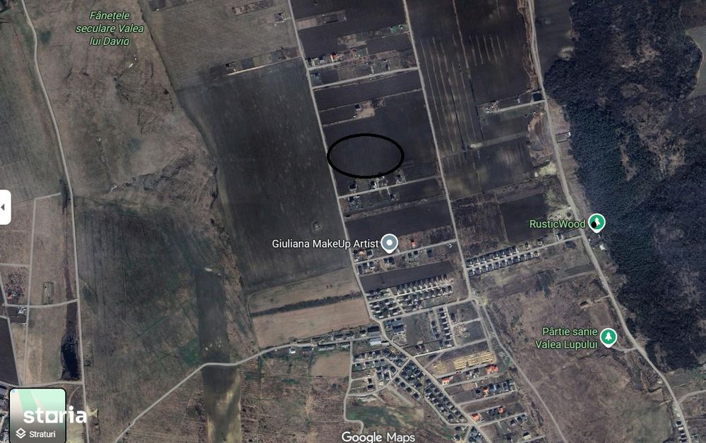 Teren 1,5 ha intravilan Valea Lupului