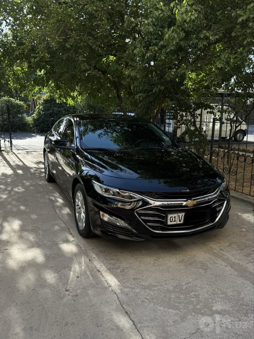 Malibu Premier Srochna Sotiladi