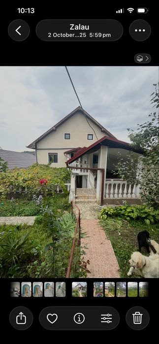 Proprietate deosebită în centrul Zalăului | 17 ari | Oază de liniște, verdeață și potențial unic
