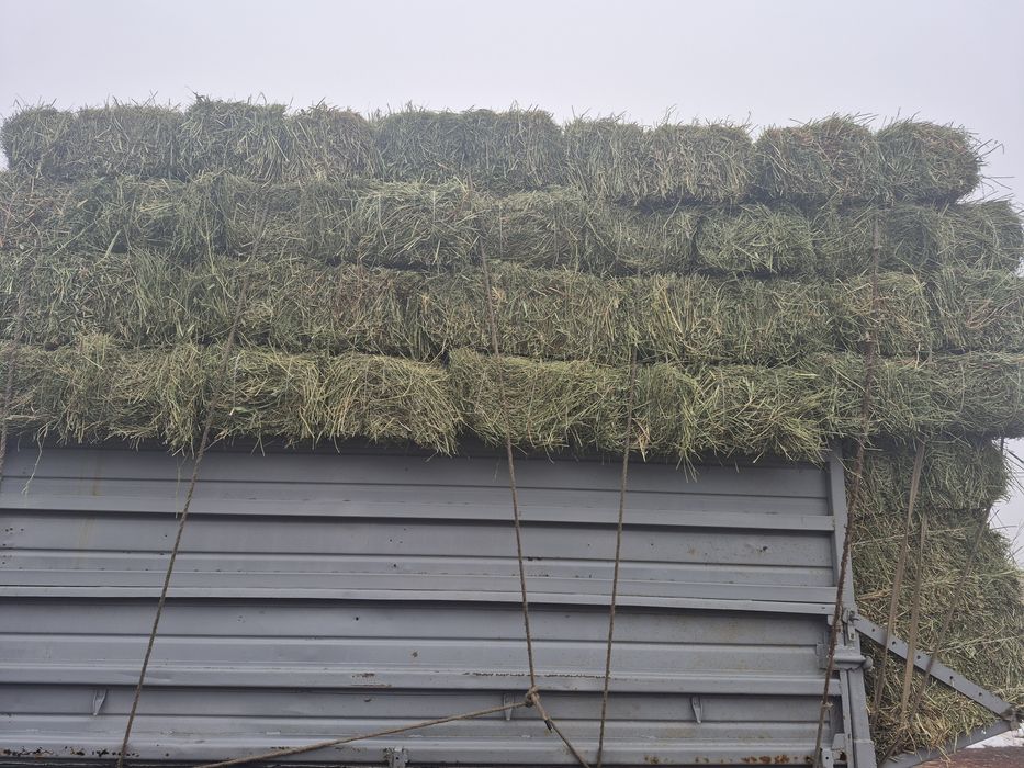 Продам сено, люцерно