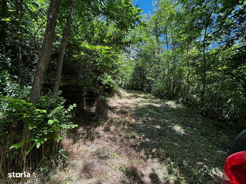 Teren Padure 6857 mp. intravilan Com Bujoreni-Valcea