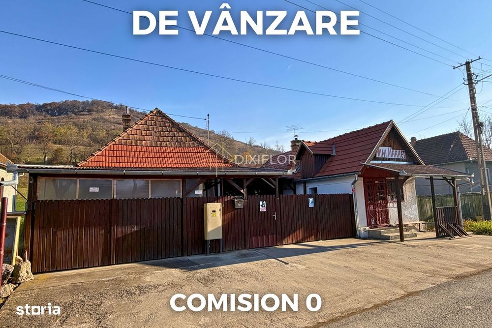 Casă cu teren și spațiu pentru magazin | Troița | 55.000 €