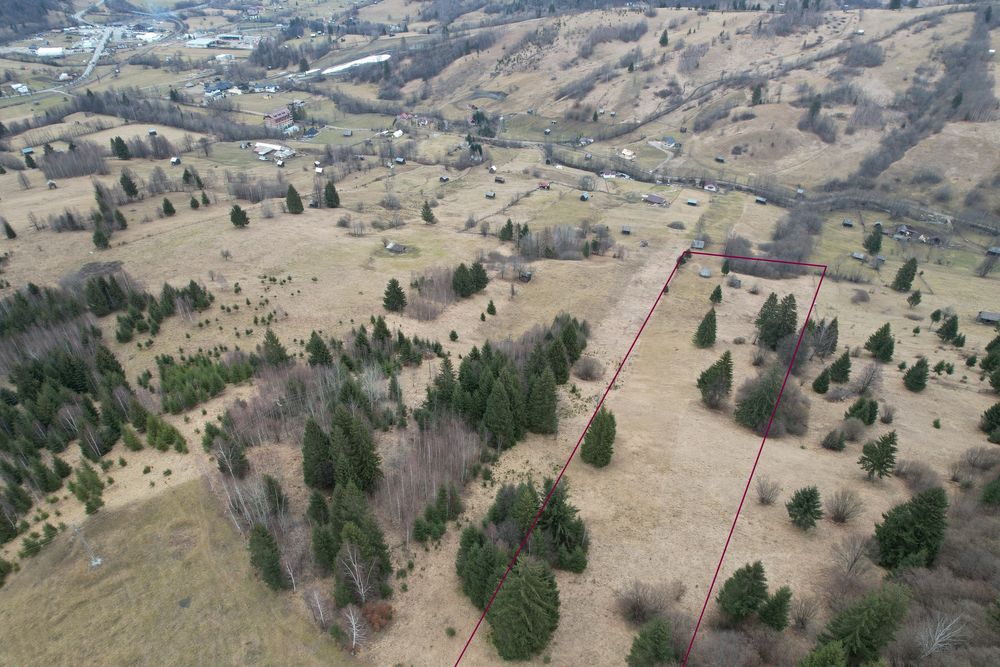 Teren extravilan Valea Caselor