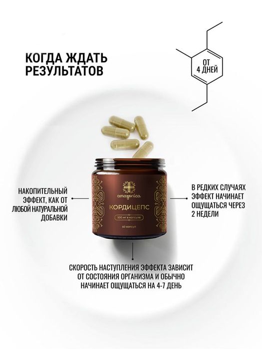 Представляем кордицепс