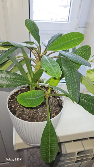 Скидка от 1500тг продам