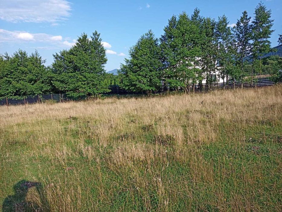 Teren de vânzare 1060mp Zărnești/Tohănița