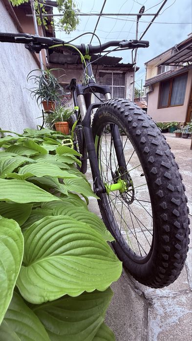 NS Bike Eccentric Djambo 1