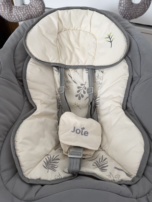 Leagan si Balansoar Joie