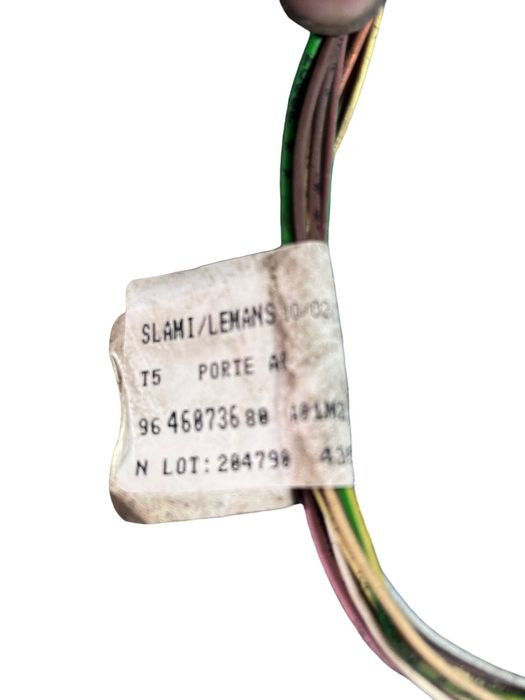 Instalatie Portiera Stanga Spate Peugeot 307 Sw 3H 2002 - 2009 9646073