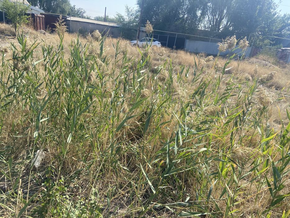 Продам земельный участок