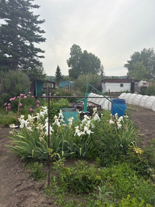 Продам дачу Восточник 5