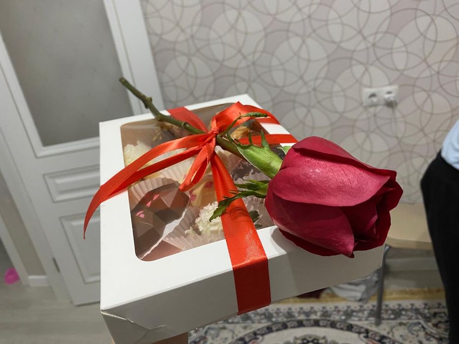 Тюльпан тюльпаны