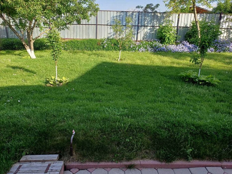 Уборка территории Стрижка газона.