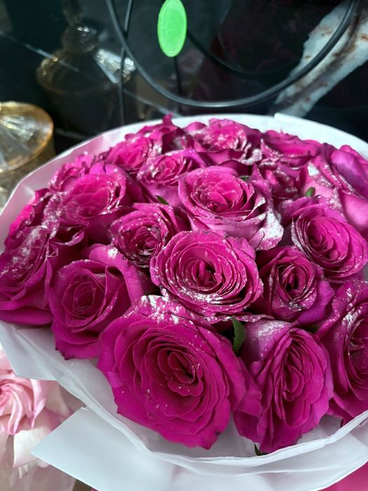 Красивые цветы розы