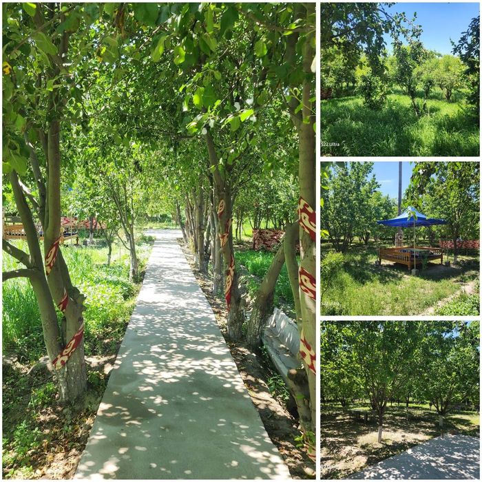 Tayyor biznes va katta maydonga ega koʻchmas mulk sotiladi