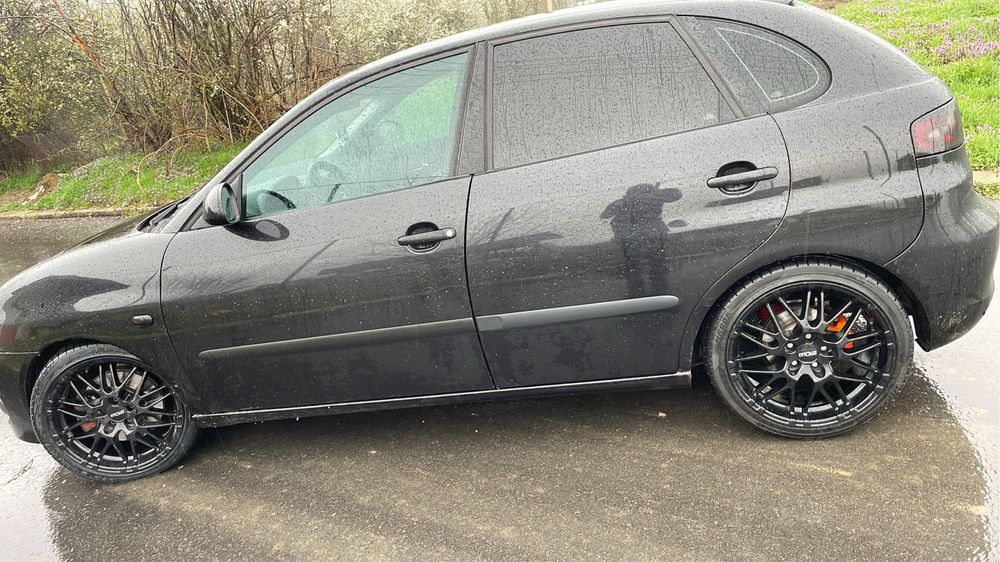 Seat Ibiza 6L 1.9 TDI 131 hp