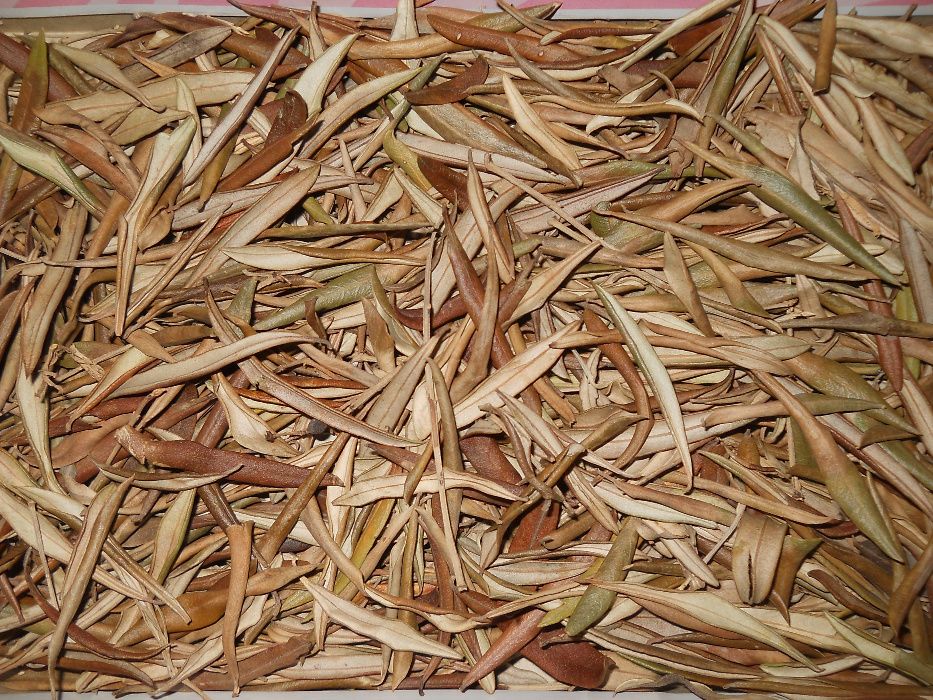 Frunze maslin pentru ceai